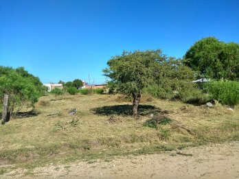 LOTE EN SAN BENITO 450m2