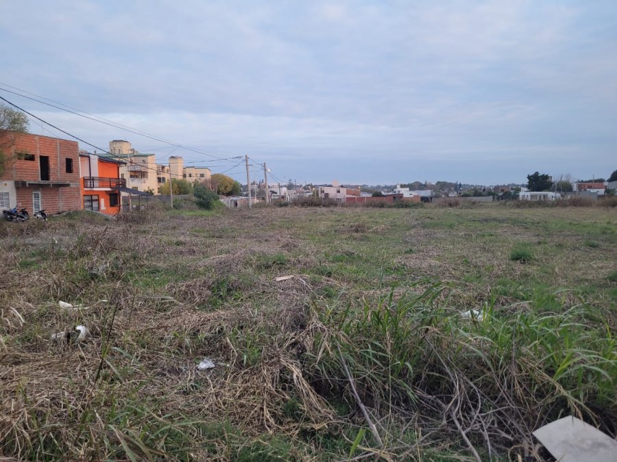 esquina intendente blanda y cordini
