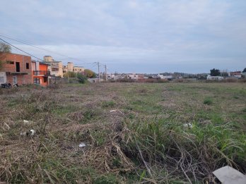 esquina intendente blanda y cordini