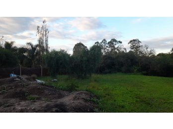 SE VENDE HERMOSO TERRENO, ZONA LOMAS DE ORO VERDE‼️