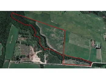 CAMPO EN VENTA, EJIDO DE COLONIA ENSAYO, DEPTO. DIAMANTE