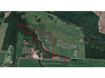 CAMPO EN VENTA, EJIDO DE COLONIA ENSAYO, DEPTO. DIAMANTE
