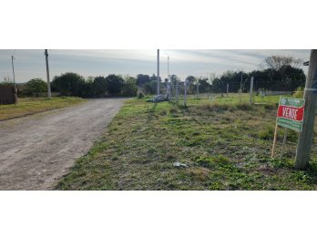 Loteo San Francisco en Colonia Ensayo lotes disponibles