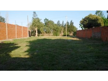 Hermoso terreno - Colonia Avellaneda