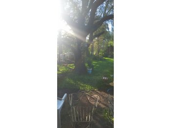 EXCELENTE QUINTA A LA VENTA - SAUCE MONTRULL