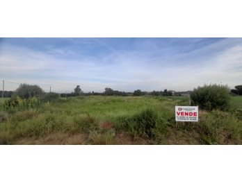 VENDO GRAN TERRENO DE 4.445 M2 EN ALDEA PROTESTANTE‼‼