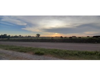 VENDO GRAN TERRENO DE 4.445 M2 EN ALDEA PROTESTANTE‼‼