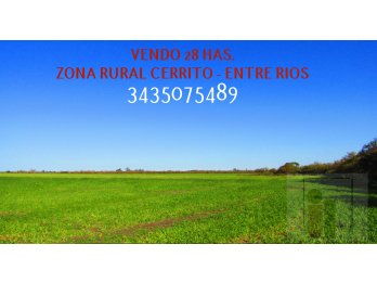 VENDO 28 HAS. AGRICOLAS, ZONA CERRITO!!!