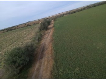 campo mixto en venta