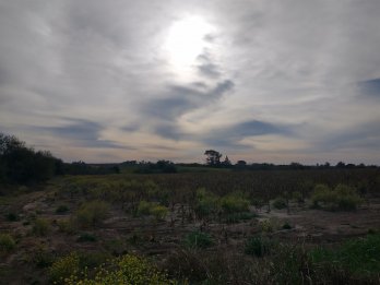 campo mixto en venta