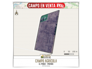 Campo AGRICOLA en Venta. El Pingo, Paraná.