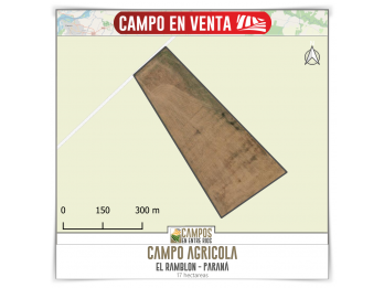 Campo AGRICOLA en Venta. El Ramblon, Paraná. Ruta 18