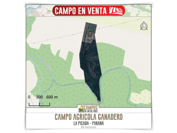 Campo AGRICOLA-GANADERO en Venta. 86 ha. La Picada, Paraná,