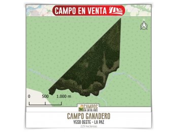 Campo GANADERO en Venta. 229 ha. Yeso Oeste, La Paz