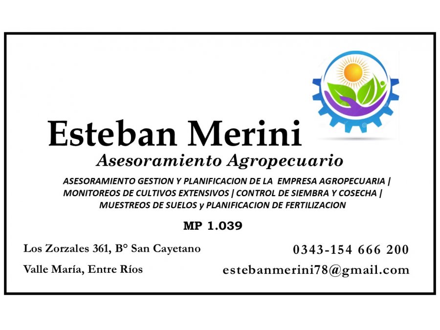 ASESORMAINETO TECNICO EN CULTIVOS EXTENSIVOS