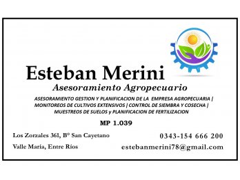 ASESORMAINETO TECNICO EN CULTIVOS EXTENSIVOS