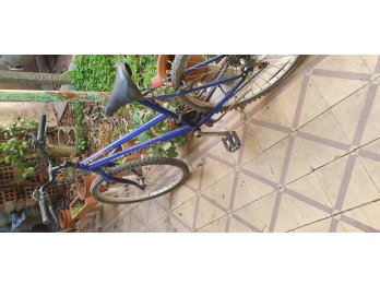 Vendo bici cuadro mujer