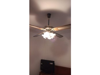 Vendo Ventilador de techo