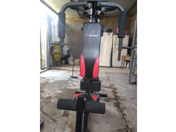 Vendo Multy Gym Olmo con escaladora