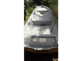 Vendo Casco y Trailer