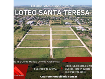 LOTES EN VENTA COLONIA AVELLANEDA