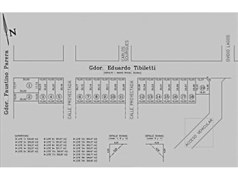 venta de Terrenos sobre calle Tibiletti, y Gob Parera- Pná