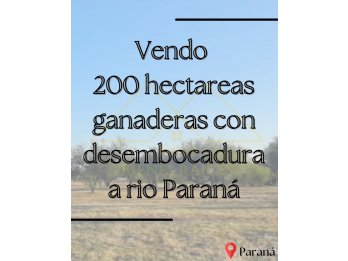 200 HECTAREAS GANADERAS EN PARANÁ