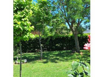 QUINTA EN ALQUILER TEMPORARIO