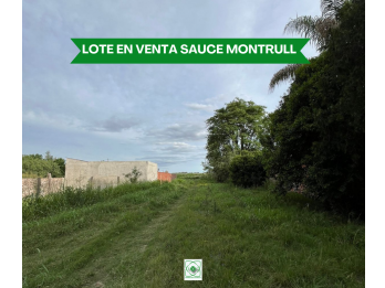 Lote En Venta Sauce Montrull