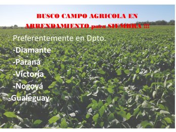 BUSCO CAMPO AGRICOLA PARA ALQUILAR!!!