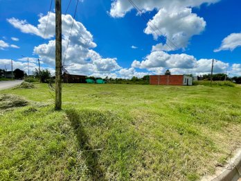 EN VENTA DOS LOTES EN SAN BENITO