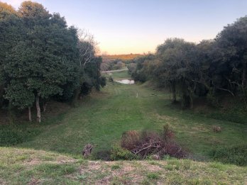 : 🏡 ¡LOTE EN VENTA EN PUERTO BARRANCA! 🌳✨