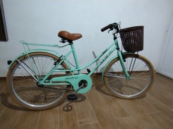 Bicicleta playera