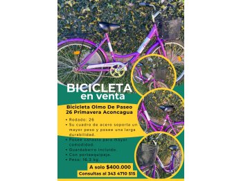 BICICLETA OLMO PASEO