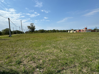 TERRENOS LISTOS PARA ESCRITURAR EN COLONIA AVELLANEDA