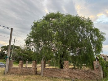 Espectacular terreno en Oro Verde - Frente al INTA