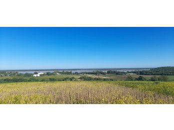 CAMPITO IDEAL PARA LOTEAR O EMPRENDER PROYECTO TURÍSTICO!