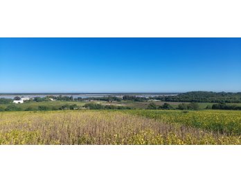 CAMPITO IDEAL PARA LOTEAR O EMPRENDER PROYECTO TURÍSTICO!
