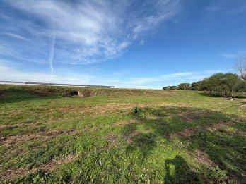 Ruta 12 SAUCE MONTRUL- Lote en Venta