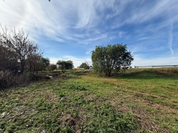 Ruta 12 SAUCE MONTRUL- Lote en Venta