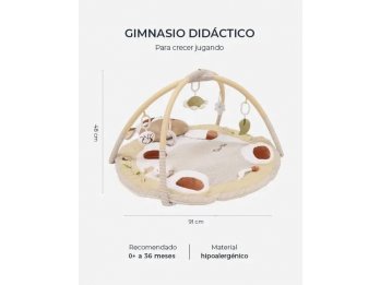 Gimnasio Carestino