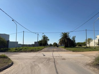 LOS ROBLES Y LOPEZ JORDAN