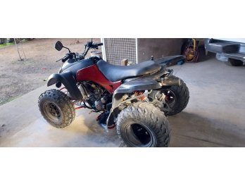 lindo cuatri vendo guerrero mapuche 200cc M,2010 inscripto