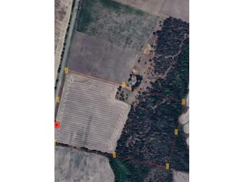 Paso de la Arena. 15Ha de campo sobre ruta. 50% monte