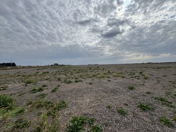 VENTA - CAMPO SOBRE RUTA EN SEGUÍ