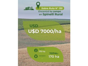 170 ha en Villaguay