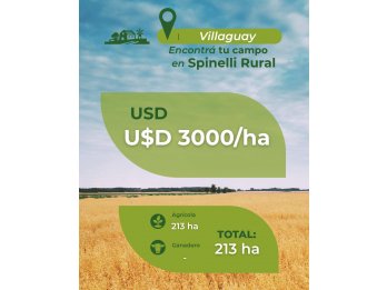 213 ha agrícolas en Villaguay