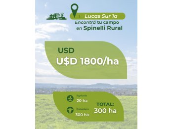 330 ha en Lucas Sur