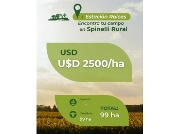 99 ha en Estación Raíces