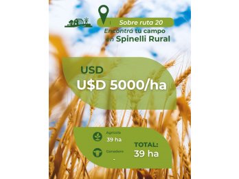 39 ha Agrícola Ruta 20